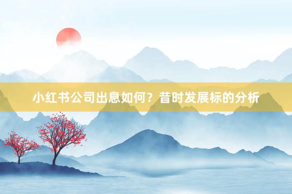 小红书公司出息如何？昔时发展标的分析