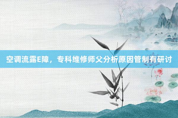 空调流露E障，专科维修师父分析原因管制有研讨